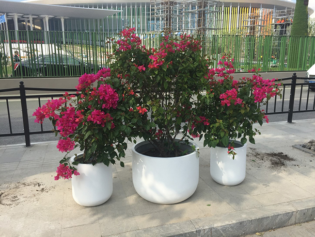 BEF - 149 Fiber glass Round pots